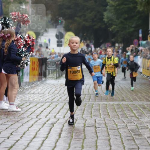 13.09.2026 - Kiel Lauf Yannick Fuchs http://msf.ph/oto/10270728 13.09.2026 08:33:10 Ziel 6073, 6484, 10988 meine-sportfotos.de