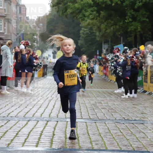 13.09.2026 - Kiel Lauf Yannick Fuchs http://msf.ph/oto/10270741 13.09.2026 08:33:13 Ziel 6073, 6484, 6698, 7959, 10988 meine-sportfotos.de
