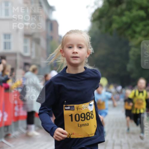13.09.2026 - Kiel Lauf Yannick Fuchs http://msf.ph/oto/10270744 13.09.2026 08:33:14 Ziel 6073, 6484, 6698, 7959, 10988 meine-sportfotos.de