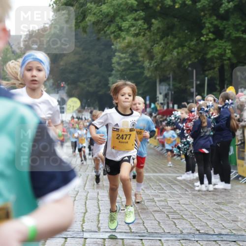 13.09.2026 - Kiel Lauf Yannick Fuchs http://msf.ph/oto/10270983 13.09.2026 08:33:41 Ziel 1711, 3220, 6698, 7959, 11404, 6073, 6484, 10988, 743, 1295, 2477, 4080, 6351, 7041, 8602, 8654, 8840, 9418, 9670, 10172, 11008, 11226, 11664 meine-sportfotos.de