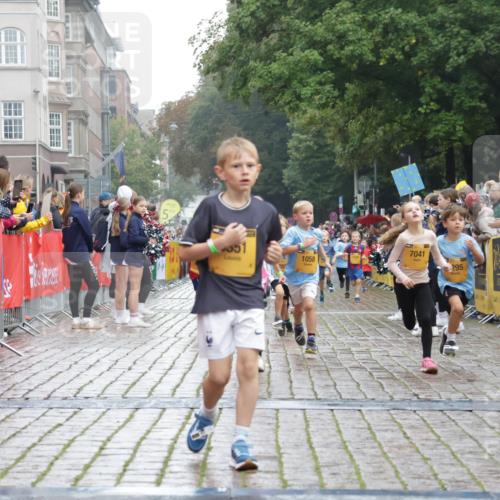 13.09.2026 - Kiel Lauf Yannick Fuchs http://msf.ph/oto/10271023 13.09.2026 08:33:47 Ziel 743, 1711, 3220, 4080, 8602, 8654, 8840, 9418, 9670, 11226, 11404, 6073, 6484, 6698, 7959, 10988, 1058, 1295, 1924, 2140, 2477, 2851, 4146, 4839, 5324, 6351, 6453, 7041, 7567, 8179, 8478, 10172, 11008, 11664 meine-sportfotos.de