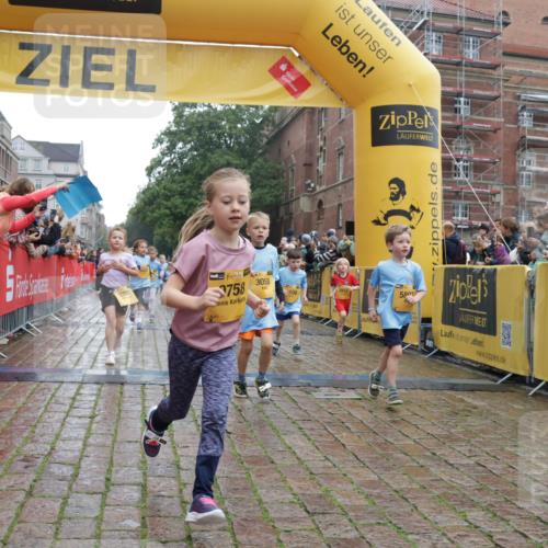 13.09.2026 - Kiel Lauf Yannick Fuchs http://msf.ph/oto/10271560 13.09.2026 08:34:26 Ziel 126, 138, 720, 1623, 1624, 2612, 2740, 3023, 3118, 3277, 3380, 4016, 4417, 4584, 5099, 6111, 7042, 7408, 8226, 8333, 8930, 9047, 10158, 10381, 10446, 10815, 10923, 12100, 12525, 657, 1058, 1103, 1295, 1924, 2140, 2477, 2769, 2851, 4080, 4146, 4796, 4839, 5324, 6351, 6453, 7041, 7135, 7567, 8179, 8478, 9211, 9418, 9945, 10121, 10172, 10713, 10815, 11008, 11365, 11572, 11664, 831, 1104, 2108, 2276, 2622, 2641, 3058, 3953, 5022, 5579, 5625, 5897, 6369 meine-sportfotos.de