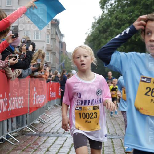 13.09.2026 - Kiel Lauf Yannick Fuchs http://msf.ph/oto/10271633 13.09.2026 08:34:30 Ziel 126, 138, 720, 1623, 1624, 2612, 2740, 3023, 3118, 3277, 3380, 4016, 4584, 6111, 7042, 7408, 7957, 8226, 8333, 8423, 8930, 8983, 9047, 10106, 10158, 10180, 10381, 10446, 10923, 12100, 12516, 657, 720, 1058, 1103, 1295, 1924, 2140, 2769, 2851, 4016, 4146, 4417, 4796, 4839, 5099, 5324, 6351, 6453, 7041, 7135, 7567, 8179, 8333, 8478, 9211, 9945, 10121, 10172, 10713, 10815, 11008, 11365, 11572, 11664, 831, 1104, 2108, 2276, 2622, 2641, 3058, 3953, 5022, 5579, 5625, 5897, 6369 meine-sportfotos.de