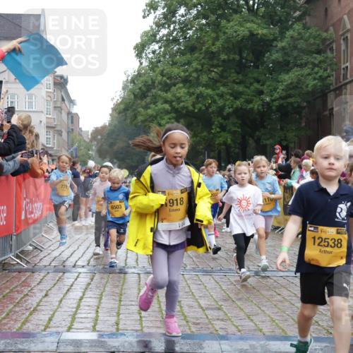 13.09.2026 - Kiel Lauf Yannick Fuchs http://msf.ph/oto/10271857 13.09.2026 08:34:41 Ziel 831, 1104, 1624, 2108, 2276, 2612, 2622, 2641, 3058, 3953, 5022, 5579, 5625, 5897, 5922, 6369, 7348, 7382, 7408, 7957, 8423, 8528, 8836, 8983, 9167, 9179, 9758, 9765, 9881, 10023, 10106, 10180, 11150, 11457, 12516, 12549, 126, 138, 657, 720, 1103, 1623, 1624, 2140, 2612, 2740, 2769, 3023, 3118, 3277, 3380, 4016, 4417, 4584, 4796, 5099, 5324, 6111, 6453, 7042, 7135, 7408, 7567, 8179, 8226, 8333, 8478, 8930, 9047, 9211, 9945, 10121, 10713, 10815, 11365, 11572, 12100, 1103 meine-sportfotos.de