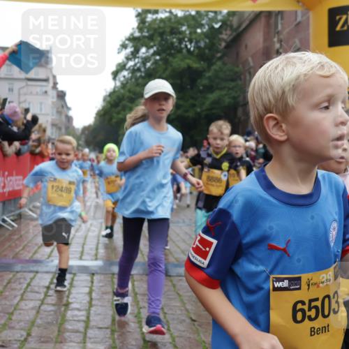 13.09.2026 - Kiel Lauf Yannick Fuchs http://msf.ph/oto/10271981 13.09.2026 08:34:46 Ziel 831, 1104, 1105, 2108, 2276, 2622, 2641, 3058, 3953, 4989, 5022, 5579, 5625, 5897, 5922, 6335, 6369, 7348, 7382, 8339, 8358, 8499, 8528, 8836, 9167, 9179, 9758, 9765, 9881, 10023, 11150, 11158, 11457, 12141, 12352, 12538, 12549, 126, 138, 657, 720, 1623, 1624, 2612, 2740, 2769, 3023, 3058, 3118, 3277, 3380, 4016, 4417, 4584, 4796, 5099, 5897, 6111, 7042, 7135, 7408, 7957, 8226, 8333, 8423, 8930, 8983, 9047, 9211, 9945, 10713, 10815, 12100, 1103, 9211, 10121 meine-sportfotos.de