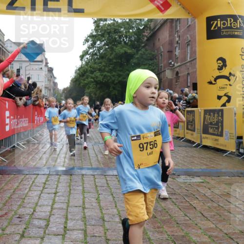 13.09.2026 - Kiel Lauf Yannick Fuchs http://msf.ph/oto/10272050 13.09.2026 08:34:48 Ziel 530, 831, 1104, 1105, 2276, 2622, 2641, 3953, 4989, 5022, 5579, 5625, 5922, 6335, 6369, 7348, 7382, 8339, 8358, 8499, 8528, 8836, 9167, 9179, 9881, 10023, 11150, 11158, 11457, 12141, 12352, 12538, 12549, 126, 138, 657, 720, 831, 1623, 1624, 2108, 2612, 2740, 2769, 3023, 3058, 3118, 3277, 3380, 3953, 4016, 4417, 4584, 4796, 5099, 5897, 6111, 7042, 7135, 7408, 7957, 8226, 8333, 8423, 8836, 8930, 8983, 9047, 9945, 10713, 10815, 12100, 1103, 9211, 10121 meine-sportfotos.de