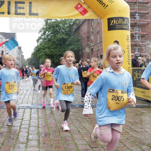13.09.2026 - Kiel Lauf Yannick Fuchs http://msf.ph/oto/10272128 13.09.2026 08:34:50 Ziel 530, 729, 1104, 1105, 1918, 2276, 2622, 2641, 4989, 5022, 5042, 5579, 5625, 5922, 6335, 6369, 6505, 7348, 7382, 8339, 8358, 8499, 8528, 8971, 9167, 9179, 9881, 10023, 11110, 11150, 11158, 11183, 11457, 12033, 12141, 12352, 12538, 12549, 126, 138, 720, 831, 1623, 1624, 2108, 2276, 2612, 2622, 2740, 3023, 3058, 3118, 3277, 3380, 3953, 4016, 4417, 4584, 5099, 5897, 6111, 7042, 7135, 7408, 7957, 8226, 8333, 8423, 8836, 8930, 8983, 9047, 10713, 10815, 12100, 1103, 9211, 10121 meine-sportfotos.de