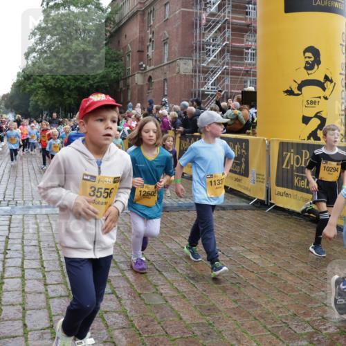 13.09.2026 - Kiel Lauf Yannick Fuchs http://msf.ph/oto/10272549 13.09.2026 08:35:22 Ziel 192, 242, 434, 782, 865, 1148, 1691, 2207, 2495, 2582, 2652, 2715, 3160, 4381, 4418, 4695, 4990, 5581, 5583, 5607, 5880, 6037, 6195, 6444, 6617, 6708, 6910, 7126, 7133, 7882, 8009, 8336, 8369, 8451, 8800, 8984, 9159, 9262, 9888, 9927, 9950, 10081, 10588, 10958, 11307, 11844, 230, 530, 717, 729, 756, 809, 1010, 1105, 1116, 1269, 1764, 1918, 2005, 2071, 2643, 2736, 2774, 2917, 2987, 4696, 4989, 5042, 5066, 5076, 5091, 5416, 6335, 6503, 6505, 6595, 165 meine-sportfotos.de