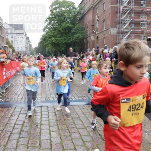 13.09.2026 - Kiel Lauf Yannick Fuchs http://msf.ph/oto/10272617 13.09.2026 08:35:25 Ziel 192, 434, 865, 1148, 1216, 1308, 1691, 2207, 2495, 2582, 2652, 2715, 3144, 3160, 4381, 4418, 4695, 4990, 5090, 5581, 5583, 5607, 5880, 6037, 6617, 6708, 6833, 7126, 7133, 7628, 8009, 8336, 8340, 8369, 8451, 8815, 8984, 9159, 9228, 9950, 10081, 10588, 10958, 11307, 11375, 11844, 230, 242, 530, 717, 729, 756, 782, 809, 1010, 1116, 1269, 1764, 1918, 2005, 2071, 2643, 2715, 2736, 2774, 2917, 2987, 4696, 5042, 5066, 5076, 5091, 5416, 6503, 6505, 6595, 165 meine-sportfotos.de