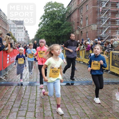13.09.2026 - Kiel Lauf Yannick Fuchs http://msf.ph/oto/10272653 13.09.2026 08:35:27 Ziel 192, 434, 865, 1216, 1308, 1691, 2207, 2495, 2582, 2652, 3144, 3160, 4381, 4418, 4695, 4990, 5090, 5581, 5583, 5607, 5880, 6617, 6708, 6833, 7628, 8009, 8336, 8340, 8369, 8451, 8815, 8984, 8988, 9009, 9228, 9950, 10081, 10858, 10958, 11247, 11307, 11375, 11844, 192, 230, 242, 530, 717, 729, 756, 782, 809, 1010, 1116, 1148, 1269, 1764, 1918, 2005, 2071, 2643, 2715, 2736, 2774, 2917, 2987, 4696, 5042, 5066, 5076, 5091, 5416, 5581, 6503, 6505, 6595, 165 meine-sportfotos.de