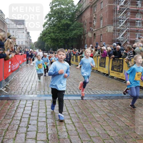 13.09.2026 - Kiel Lauf Yannick Fuchs http://msf.ph/oto/10272743 13.09.2026 08:35:32 Ziel 434, 865, 1216, 1308, 1691, 2018, 2207, 2619, 2652, 3144, 3160, 3556, 4030, 4381, 5090, 5583, 5853, 6833, 7628, 8009, 8340, 8539, 8815, 8823, 8988, 9009, 9228, 9950, 10294, 10858, 10958, 11247, 11307, 11375, 11844, 11918, 12505, 192, 230, 242, 717, 756, 782, 809, 1010, 1116, 1148, 1269, 1764, 2005, 2071, 2495, 2582, 2643, 2715, 2736, 2774, 2917, 2987, 4418, 4695, 4696, 4990, 5066, 5076, 5091, 5416, 5581, 5583, 6503, 165 meine-sportfotos.de