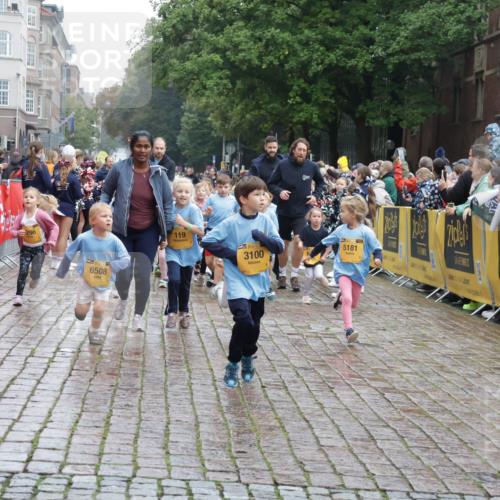 13.09.2026 - Kiel Lauf Yannick Fuchs http://msf.ph/oto/10272912 13.09.2026 08:35:42 Ziel 165, 304, 705, 1152, 1240, 1516, 2018, 2619, 2684, 3077, 3236, 3542, 3556, 3560, 3562, 4030, 4319, 4603, 4924, 5245, 5343, 5853, 6274, 8301, 8539, 8556, 8823, 8988, 9009, 9270, 9322, 9383, 9671, 9719, 10294, 10727, 11247, 11801, 11918, 12328, 12344, 12505, 192, 242, 434, 782, 865, 1148, 1216, 1308, 1691, 1764, 2071, 2207, 2495, 2582, 2652, 2715, 3144, 3160, 4381, 4418, 4695, 4990, 5076, 5090, 5091, 5581, 5583, 6833, 7628, 8009, 8340, 8815, 8988, 2917, 5066, 10875 meine-sportfotos.de