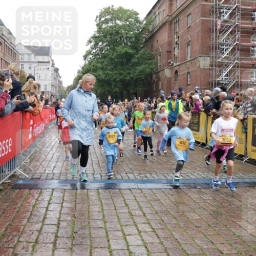 13.09.2026 - Kiel Lauf Yannick Fuchs http://msf.ph/oto/10273080 13.09.2026 08:35:54 Ziel 119, 304, 741, 1516, 1690, 1850, 2618, 2882, 3077, 3100, 3497, 5028, 5181, 5566, 5827, 5949, 6274, 6446, 6508, 8357, 9023, 9383, 9671, 9978, 10922, 11801, 11905, 12205, 12227, 12328, 12344, 12354, 165, 304, 434, 705, 865, 1152, 1216, 1240, 1308, 1516, 1691, 2018, 2207, 2582, 2619, 2652, 2684, 3144, 3160, 3236, 3556, 4030, 4319, 4381, 4418, 4695, 4924, 4990, 5090, 5245, 5343, 5583, 5853, 6833, 7628, 8009, 8301, 8340, 8539, 8815, 8988, 569, 740, 858 meine-sportfotos.de