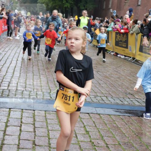 13.09.2026 - Kiel Lauf Yannick Fuchs http://msf.ph/oto/10273504 13.09.2026 08:36:14 Ziel 71, 308, 440, 464, 465, 569, 690, 740, 832, 858, 923, 1551, 1552, 1648, 2310, 2328, 2621, 3053, 3149, 3434, 3656, 3689, 3746, 4002, 4007, 4473, 4474, 5308, 5481, 5486, 5499, 6022, 6101, 6143, 6171, 6491, 6838, 7128, 7147, 7225, 7228, 7634, 7842, 7908, 8228, 8267, 8638, 8961, 9252, 9625, 9794, 10043, 10111, 10147, 10351, 10576, 11355, 11577, 12239, 12336, 12447, 12558, 119, 304, 705, 741, 1240, 1516, 1690, 1850, 2618, 2684, 2882, 2911, 3236, 4924, 5343, 8301 meine-sportfotos.de
