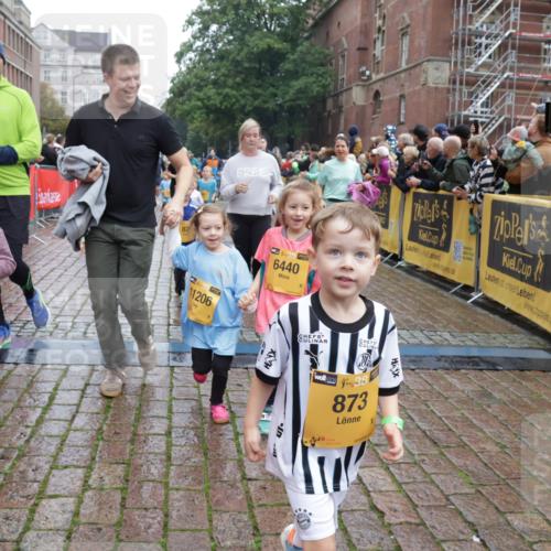 13.09.2026 - Kiel Lauf Yannick Fuchs http://msf.ph/oto/10274474 13.09.2026 08:36:54 Ziel 581, 1031, 1128, 1470, 2581, 3098, 3495, 3809, 3887, 4697, 5667, 6145, 6259, 6357, 6479, 6813, 6936, 7153, 7633, 7784, 8211, 8662, 8771, 9028, 9591, 9762, 9958, 10438, 11935, 11945, 12087, 12317, 308, 516, 874, 923, 1407, 1648, 1727, 1808, 1829, 1875, 2464, 3088, 3098, 3246, 3532, 3651, 3656, 3868, 4495, 4500, 5658, 5842, 6308, 6452, 6469, 6470, 6474, 6475, 6983, 7059, 7136, 7153, 8771, 8995, 9251, 1055, 4018, 5617, 7146, 7176, 71, 3434, 4002 meine-sportfotos.de
