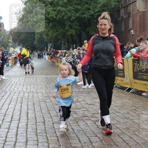 13.09.2026 - Kiel Lauf Yannick Fuchs http://msf.ph/oto/10275800 13.09.2026 08:38:35 Ziel 10005, 281, 4085, 4423, 4734, 7477, 8382, 8428, 9791, 9921, 11412, 11810, 12581, 2355, 9149, 1807, 2936, 4490, 7477, 11412 meine-sportfotos.de
