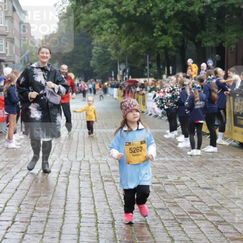 13.09.2026 - Kiel Lauf Yannick Fuchs http://msf.ph/oto/10275913 13.09.2026 08:38:59 Ziel 2355, 5216, 2355, 4423, 9149, 10005, 5267, 4423 meine-sportfotos.de