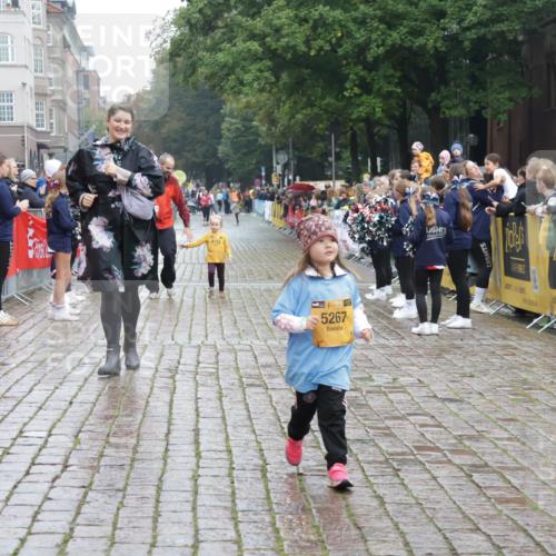 13.09.2026 - Kiel Lauf Yannick Fuchs http://msf.ph/oto/10275918 13.09.2026 08:38:59 Ziel 2355, 5216, 2355, 4423, 9149, 10005, 5267, 4423 meine-sportfotos.de