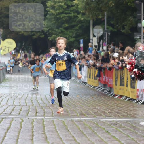 13.09.2026 - Kiel Lauf Yannick Fuchs http://msf.ph/oto/10276570 13.09.2026 08:49:39 Ziel 135, 6891, 10319 meine-sportfotos.de
