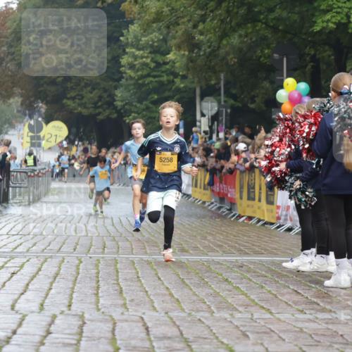 13.09.2026 - Kiel Lauf Yannick Fuchs http://msf.ph/oto/10276579 13.09.2026 08:49:40 Ziel 135, 6891, 10319 meine-sportfotos.de