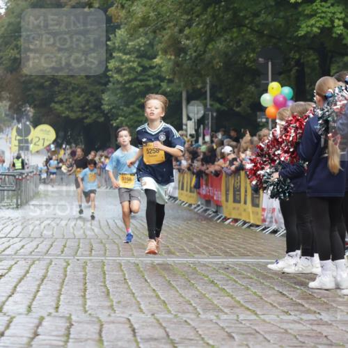 13.09.2026 - Kiel Lauf Yannick Fuchs http://msf.ph/oto/10276586 13.09.2026 08:49:40 Ziel 135, 6891, 10319 meine-sportfotos.de