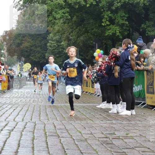 13.09.2026 - Kiel Lauf Yannick Fuchs http://msf.ph/oto/10276602 13.09.2026 08:49:42 Ziel 135, 6891, 5168, 5258, 10319 meine-sportfotos.de