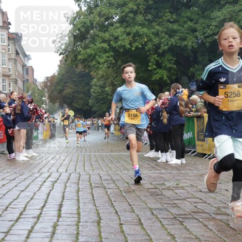 13.09.2026 - Kiel Lauf Yannick Fuchs http://msf.ph/oto/10276632 13.09.2026 08:49:44 Ziel 135, 6891, 5168, 5258, 10319 meine-sportfotos.de