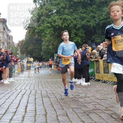 13.09.2026 - Kiel Lauf Yannick Fuchs http://msf.ph/oto/10276637 13.09.2026 08:49:44 Ziel 135, 6891, 5168, 5258, 10319 meine-sportfotos.de