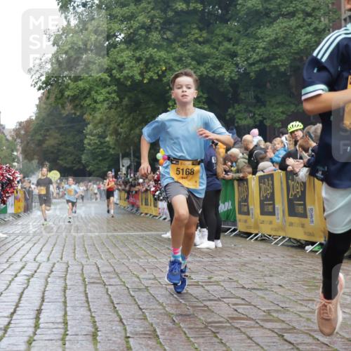 13.09.2026 - Kiel Lauf Yannick Fuchs http://msf.ph/oto/10276651 13.09.2026 08:49:45 Ziel 135, 6891, 10319, 5168, 5258 meine-sportfotos.de