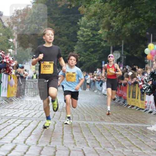 13.09.2026 - Kiel Lauf Yannick Fuchs http://msf.ph/oto/10276685 13.09.2026 08:49:47 Ziel 135, 6891, 10319, 2909, 5168, 5258 meine-sportfotos.de