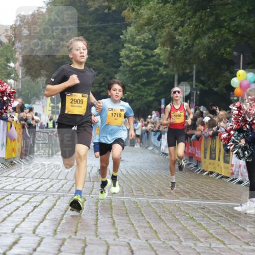13.09.2026 - Kiel Lauf Yannick Fuchs http://msf.ph/oto/10276690 13.09.2026 08:49:47 Ziel 135, 6891, 10319, 2909, 5168, 5258 meine-sportfotos.de