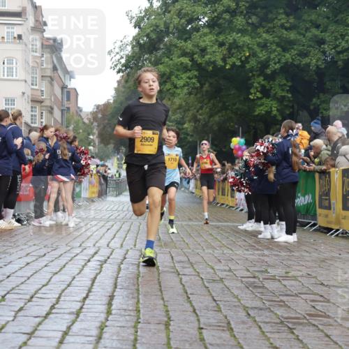 13.09.2026 - Kiel Lauf Yannick Fuchs http://msf.ph/oto/10276695 13.09.2026 08:49:49 Ziel 6891, 10319, 135, 1710, 2909, 5168, 5258 meine-sportfotos.de
