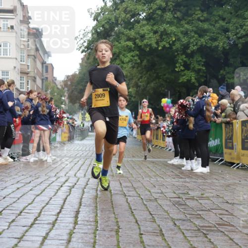 13.09.2026 - Kiel Lauf Yannick Fuchs http://msf.ph/oto/10276700 13.09.2026 08:49:49 Ziel 6891, 10319, 135, 1710, 2909, 5168, 5258 meine-sportfotos.de