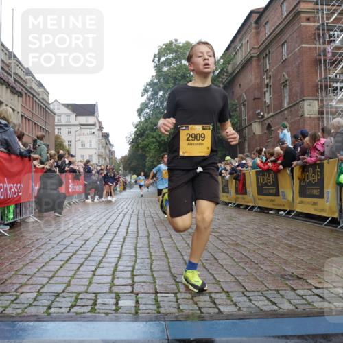 13.09.2026 - Kiel Lauf Yannick Fuchs http://msf.ph/oto/10276728 13.09.2026 08:49:50 Ziel 6891, 10319, 135, 6891, 1710, 2909, 5168, 5258, 8786 meine-sportfotos.de