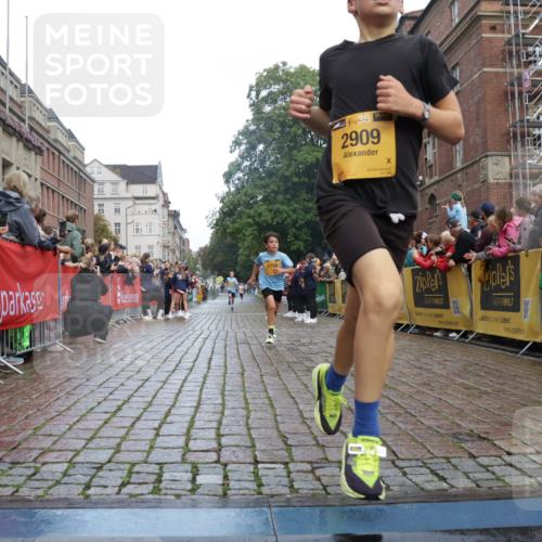 13.09.2026 - Kiel Lauf Yannick Fuchs http://msf.ph/oto/10276736 13.09.2026 08:49:50 Ziel 6891, 10319, 135, 6891, 1710, 2909, 5168, 5258, 8786 meine-sportfotos.de