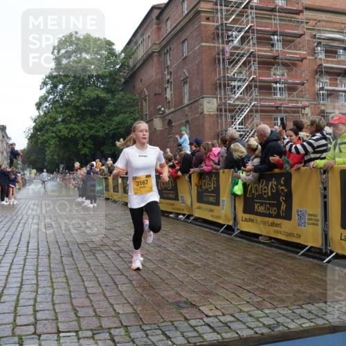 13.09.2026 - Kiel Lauf Yannick Fuchs http://msf.ph/oto/10276859 13.09.2026 08:50:00 Ziel 5168, 5258, 10319, 135, 6891, 10319, 1710, 2909, 3167, 8786, 11542 meine-sportfotos.de