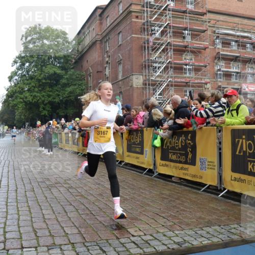 13.09.2026 - Kiel Lauf Yannick Fuchs http://msf.ph/oto/10276867 13.09.2026 08:50:00 Ziel 5168, 5258, 10319, 135, 6891, 10319, 1710, 2909, 3167, 8786, 11542 meine-sportfotos.de