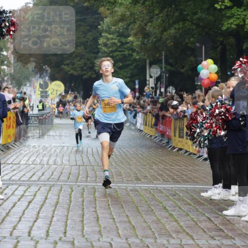 13.09.2026 - Kiel Lauf Yannick Fuchs http://msf.ph/oto/10276886 13.09.2026 08:50:02 Ziel 2909, 5168, 5258, 135, 6891, 10319, 1710, 3167, 3487, 8786, 11542 meine-sportfotos.de