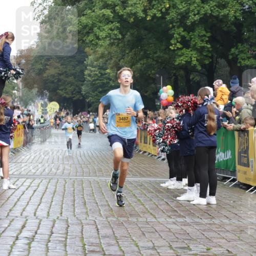 13.09.2026 - Kiel Lauf Yannick Fuchs http://msf.ph/oto/10276918 13.09.2026 08:50:04 Ziel 1710, 2909, 5168, 5258, 135, 6891, 10319, 3167, 3487, 8786, 11542 meine-sportfotos.de
