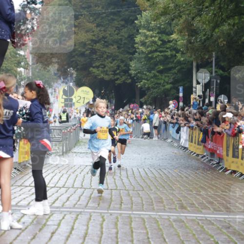 13.09.2026 - Kiel Lauf Yannick Fuchs http://msf.ph/oto/10277002 13.09.2026 08:50:07 Ziel 1710, 2909, 5168, 5258, 8786, 11542, 135, 6891, 10319, 3167, 3487 meine-sportfotos.de
