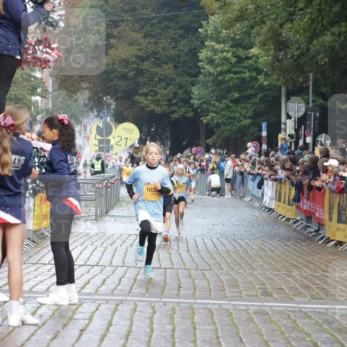 13.09.2026 - Kiel Lauf Yannick Fuchs http://msf.ph/oto/10277007 13.09.2026 08:50:07 Ziel 1710, 2909, 5168, 5258, 8786, 11542, 135, 6891, 10319, 3167, 3487 meine-sportfotos.de