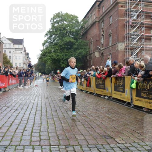 13.09.2026 - Kiel Lauf Yannick Fuchs http://msf.ph/oto/10277062 13.09.2026 08:50:12 Ziel 1710, 2909, 3167, 5168, 5258, 8786, 11542, 135, 5168, 5258, 6891, 10319, 3487, 10359, 135, 6891 meine-sportfotos.de