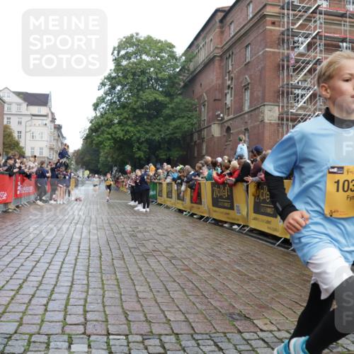 13.09.2026 - Kiel Lauf Yannick Fuchs http://msf.ph/oto/10277098 13.09.2026 08:50:13 Ziel 1710, 2909, 3167, 8786, 11542, 135, 5168, 5258, 6891, 10319, 3487, 7511, 10359, 135, 6891 meine-sportfotos.de