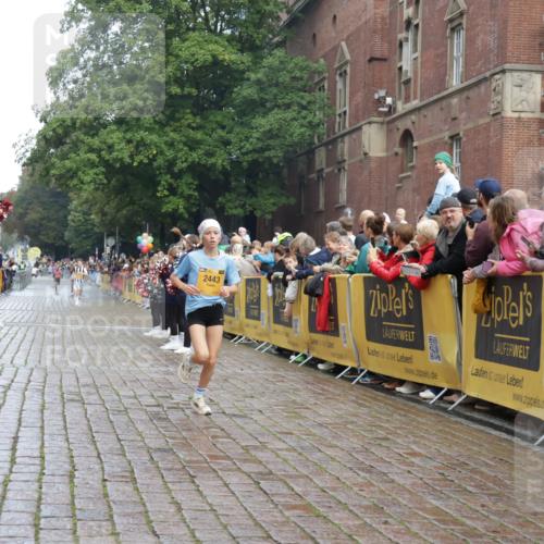 13.09.2026 - Kiel Lauf Yannick Fuchs http://msf.ph/oto/10277211 13.09.2026 08:50:18 Ziel 1710, 3167, 3487, 8786, 11542, 1710, 2909, 5168, 5258, 10319, 2443, 7511, 10359, 135, 6891 meine-sportfotos.de