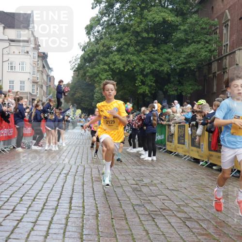 13.09.2026 - Kiel Lauf Yannick Fuchs http://msf.ph/oto/10277346 13.09.2026 08:50:28 Ziel 3487, 7511, 10359, 1710, 2909, 3167, 5168, 5258, 8786, 11542, 497, 2125, 2443, 3106, 5792, 9612, 10987, 10319 meine-sportfotos.de