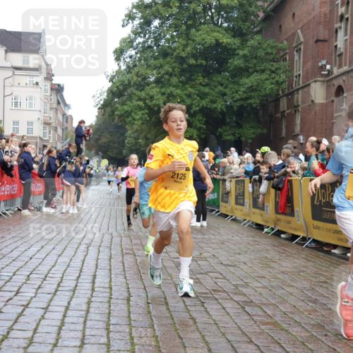13.09.2026 - Kiel Lauf Yannick Fuchs http://msf.ph/oto/10277359 13.09.2026 08:50:28 Ziel 3487, 7511, 10359, 1710, 2909, 3167, 5168, 5258, 8786, 11542, 497, 2125, 2443, 3106, 5792, 9612, 10987, 10319 meine-sportfotos.de