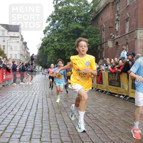 13.09.2026 - Kiel Lauf Yannick Fuchs http://msf.ph/oto/10277371 13.09.2026 08:50:28 Ziel 3487, 7511, 10359, 1710, 2909, 3167, 5168, 5258, 8786, 11542, 497, 2125, 2443, 3106, 5792, 9612, 10987, 10319 meine-sportfotos.de