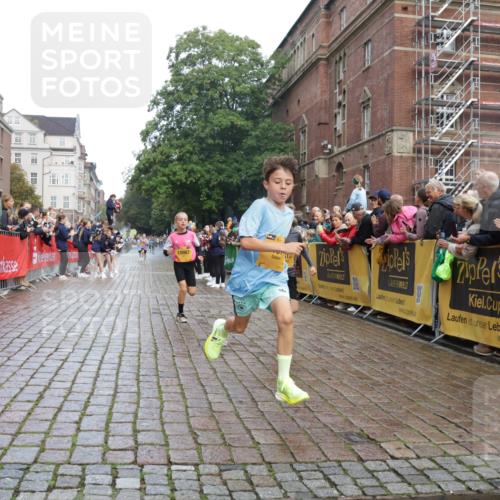 13.09.2026 - Kiel Lauf Yannick Fuchs http://msf.ph/oto/10277392 13.09.2026 08:50:29 Ziel 3487, 7511, 10359, 1710, 2909, 3167, 5168, 5258, 8786, 11542, 497, 2125, 2443, 3106, 5792, 9612, 10987, 10319 meine-sportfotos.de