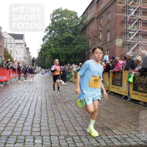 13.09.2026 - Kiel Lauf Yannick Fuchs http://msf.ph/oto/10277397 13.09.2026 08:50:29 Ziel 3487, 7511, 10359, 1710, 2909, 3167, 5168, 5258, 8786, 11542, 497, 2125, 2443, 3106, 5792, 9612, 10987, 10319 meine-sportfotos.de