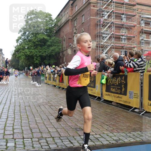 13.09.2026 - Kiel Lauf Yannick Fuchs http://msf.ph/oto/10277436 13.09.2026 08:50:31 Ziel 2443, 3487, 7511, 10359, 1710, 2909, 3167, 5168, 5258, 8786, 11542, 497, 2125, 3106, 5792, 9612, 10987, 10319 meine-sportfotos.de